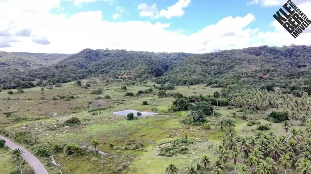 Fazenda, 465 hectares - Foto 4