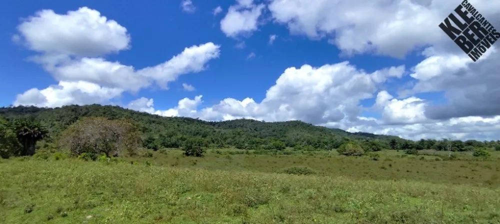 Fazenda, 465 hectares - Foto 3