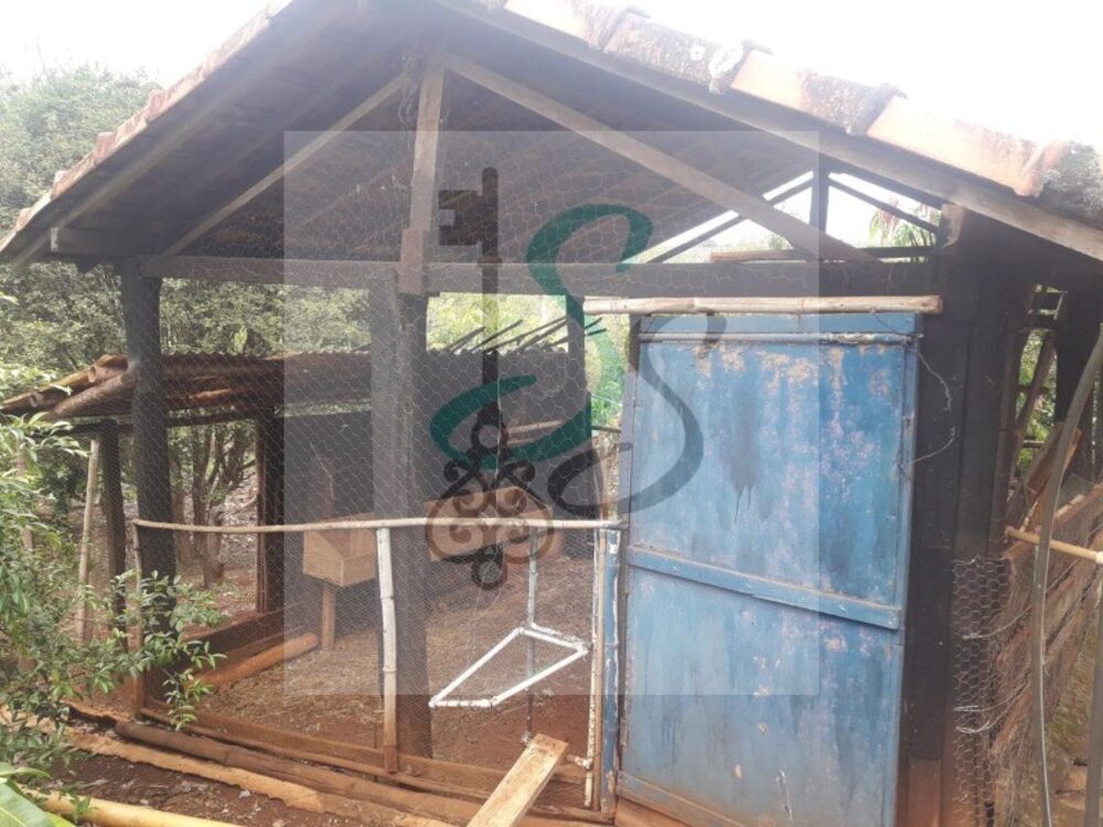 Sítio, 2 quartos, 60 m² - Foto 3