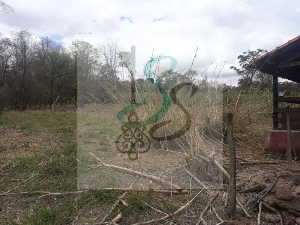 Sítio, 2 quartos, 60 m² - Foto 4