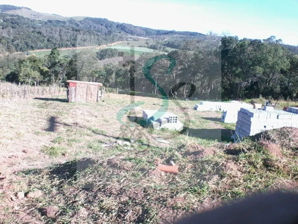 Terreno, 1506 m² - Foto 4