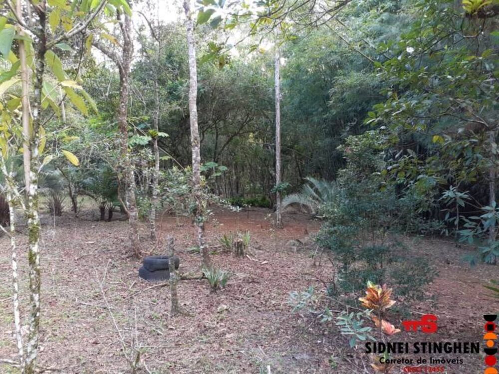 Terreno, 5380 m² - Foto 2