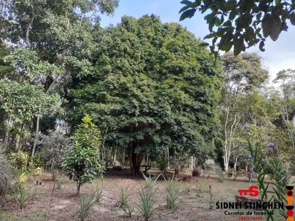 Terreno, 5380 m² - Foto 4
