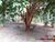 Terreno, 5380 m² - Foto 1
