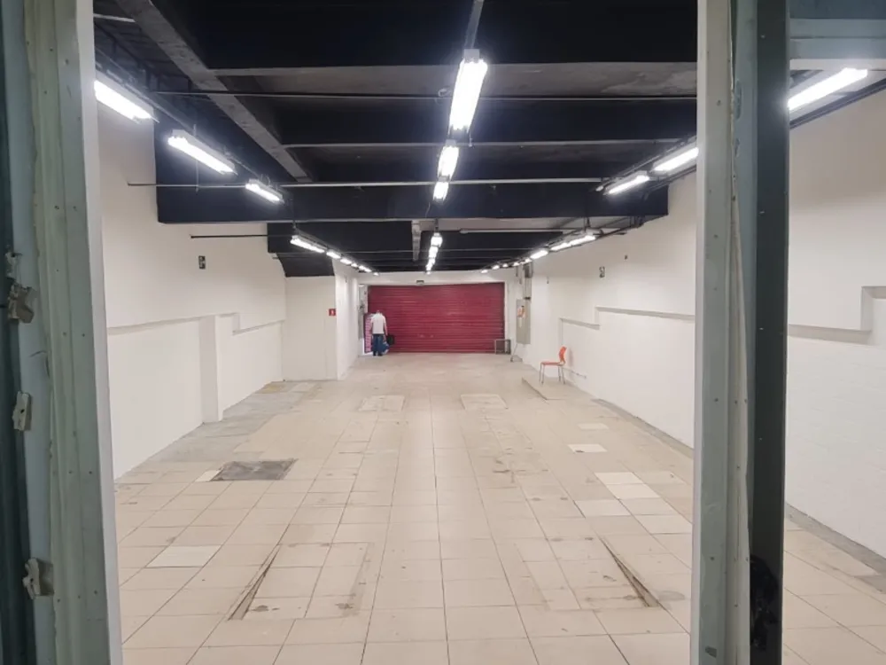 Depósito-Galpão, 264 m² - Foto 4
