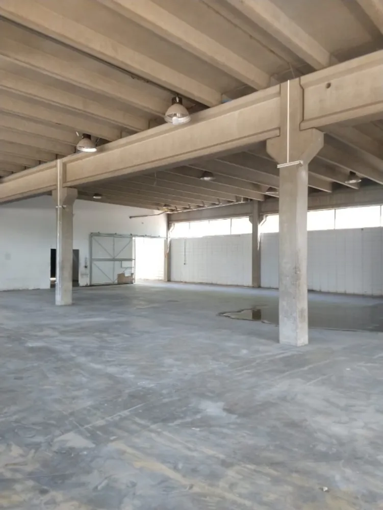 Prédio Inteiro, 1600 m² - Foto 3