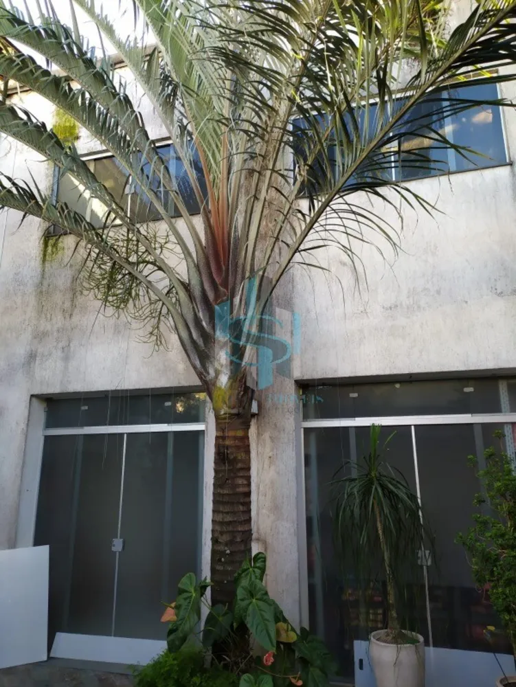 Prédio Inteiro, 500 m² - Foto 8