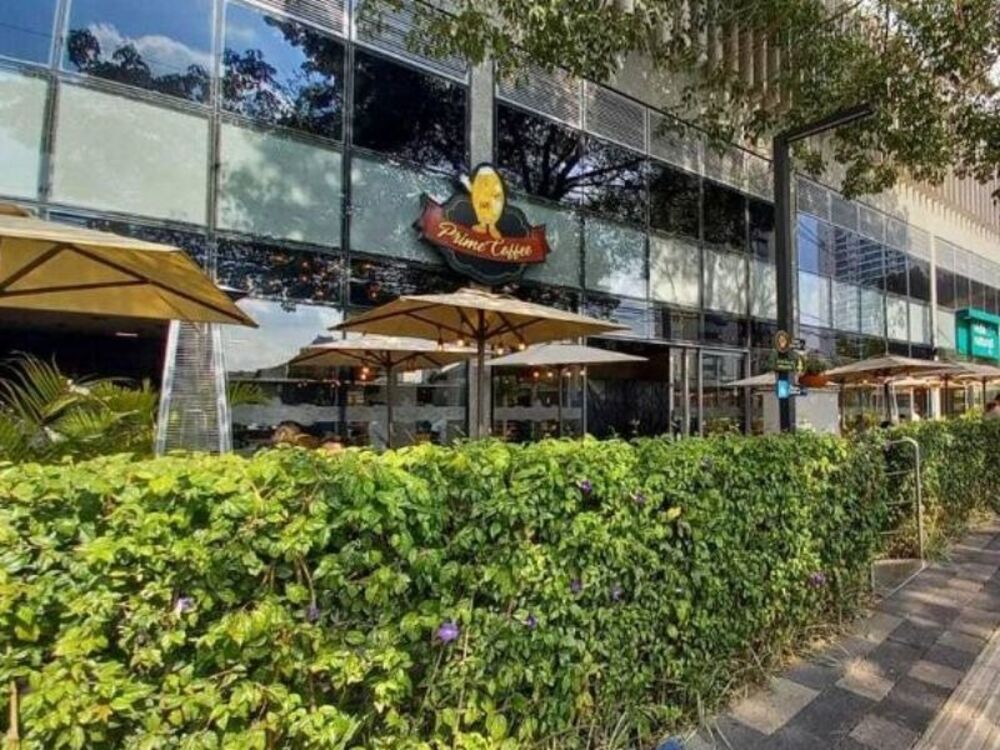 Sala-Conjunto, 402 m² - Foto 4