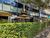 Sala-Conjunto, 402 m² - Foto 2
