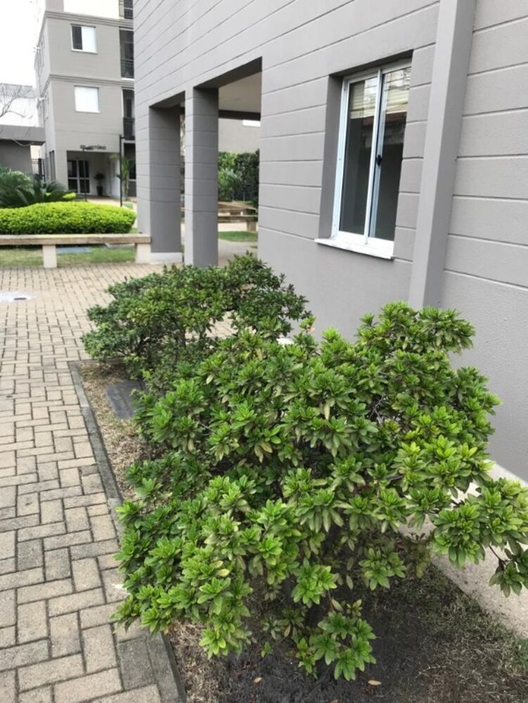 Apartamento, 2 quartos, 52 m² - Foto 2