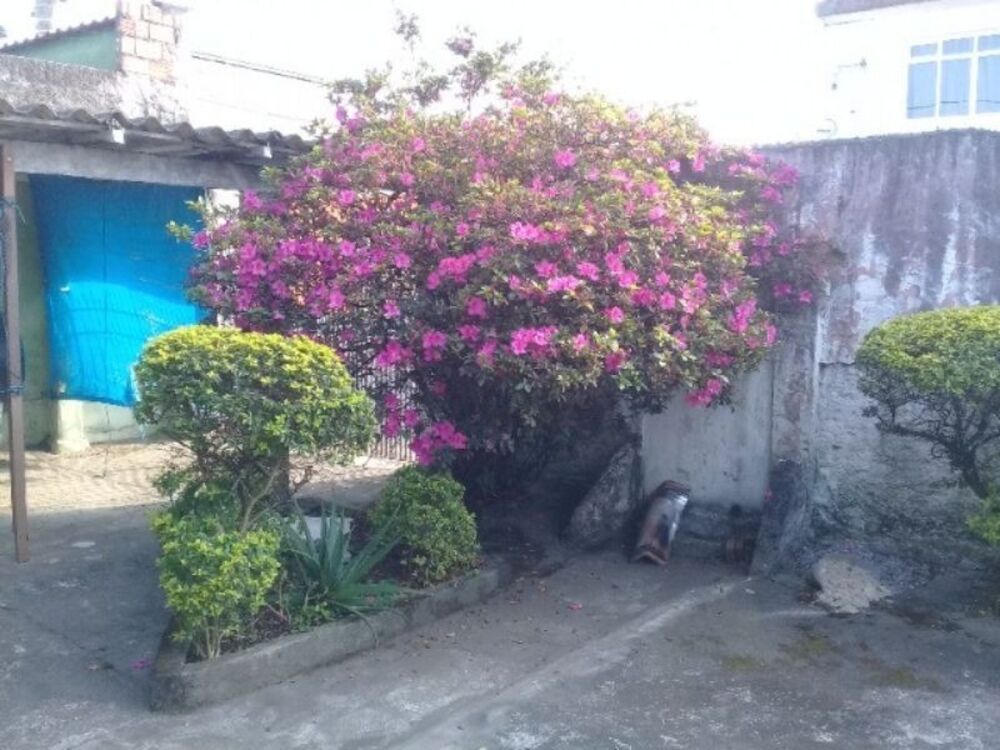 Terreno, 250 m² - Foto 3