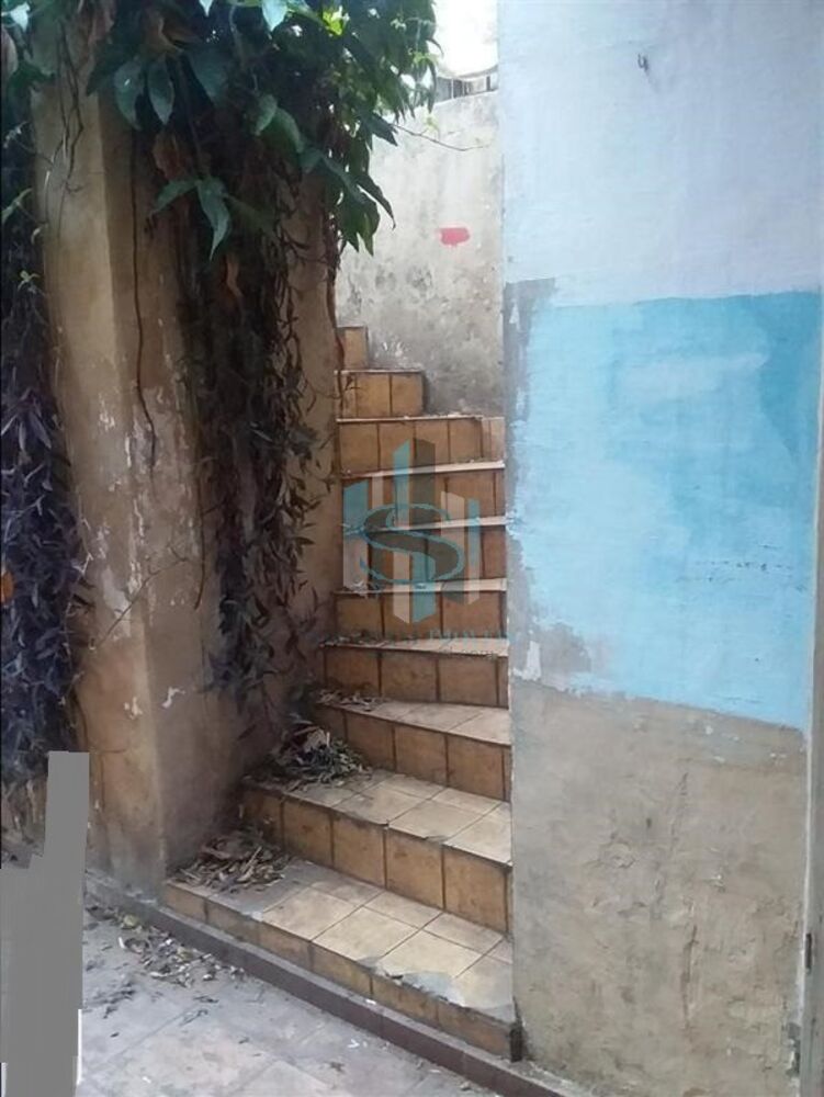 Casa, 4 quartos, 300 m² - Foto 4