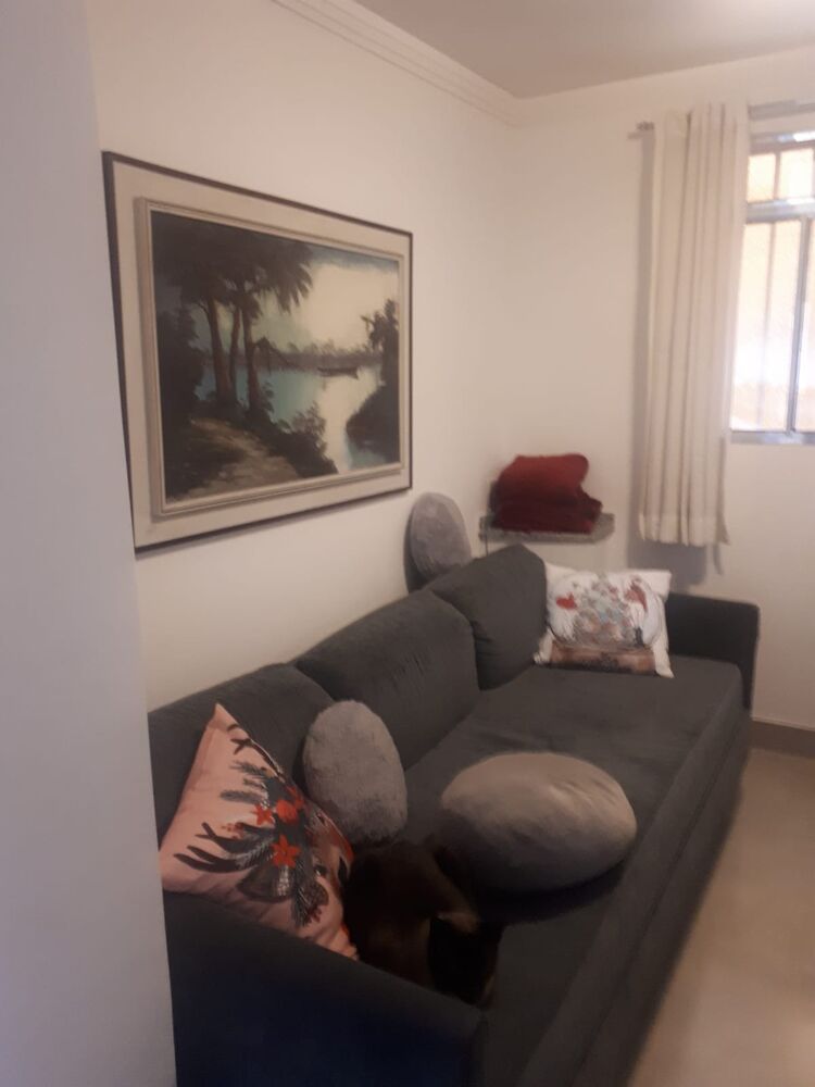 Casa, 4 quartos, 300 m² - Foto 14