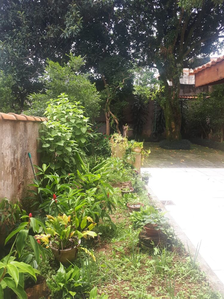 Casa, 4 quartos, 300 m² - Foto 20