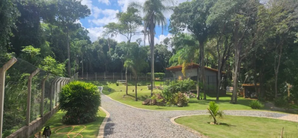 Chácara, 3 quartos - Foto 12