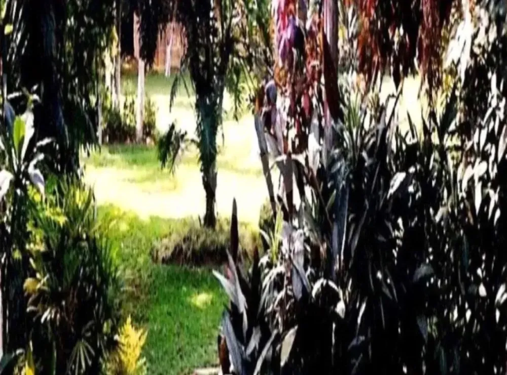 Terreno, 10000 m² - Foto 4