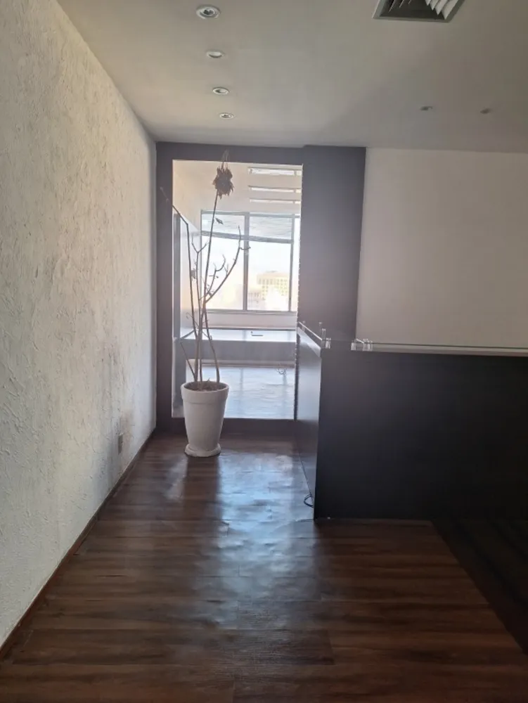Sala-Conjunto, 285 m² - Foto 5