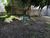 Terreno, 1500 m² - Foto 2