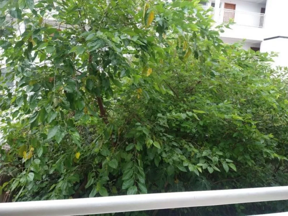 Casa, 2 quartos, 70 m² - Foto 4