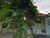 Terreno, 433 m² - Foto 6