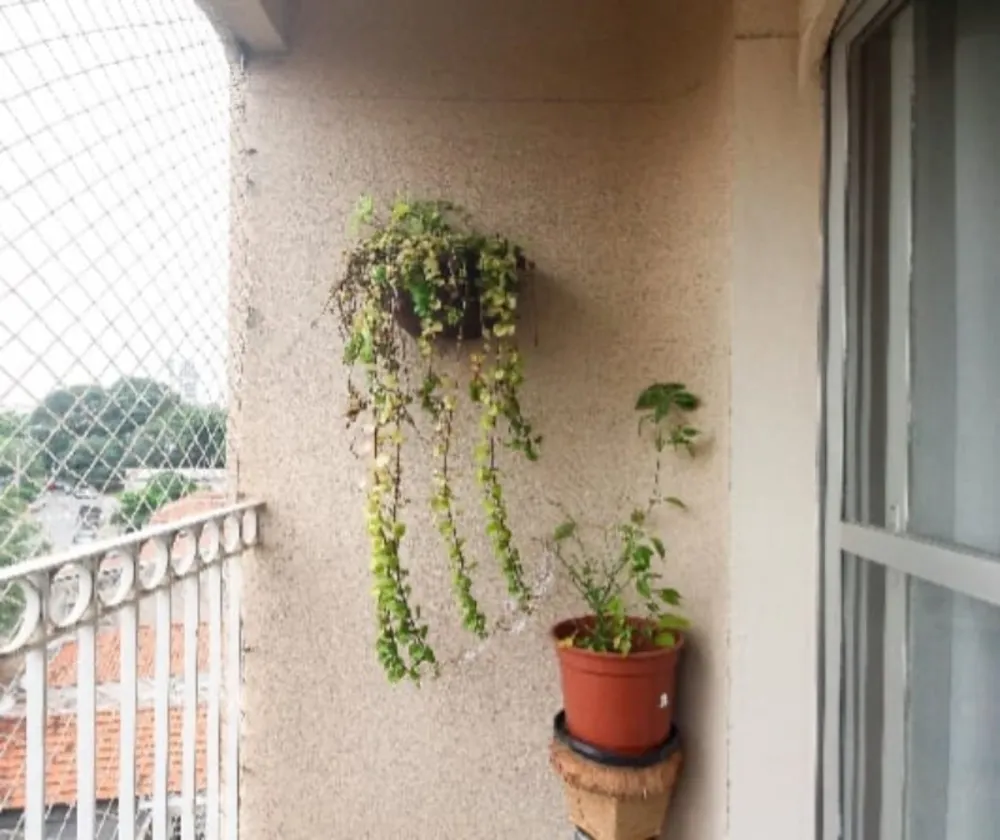 Apartamento, 3 quartos, 74 m² - Foto 3