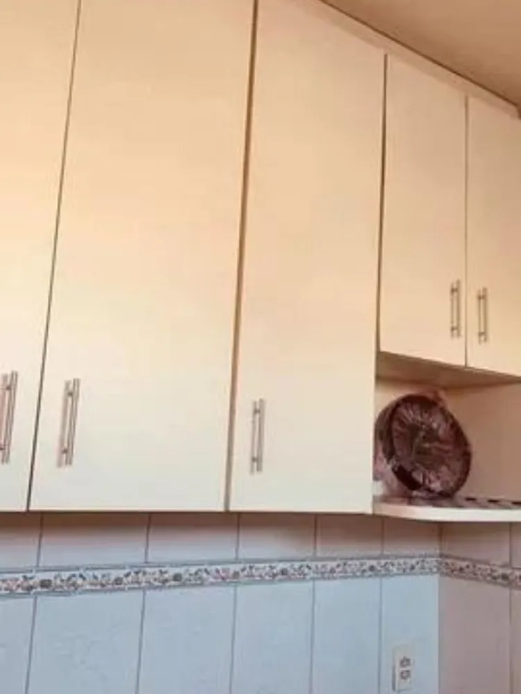 Apartamento, 2 quartos, 70 m² - Foto 3