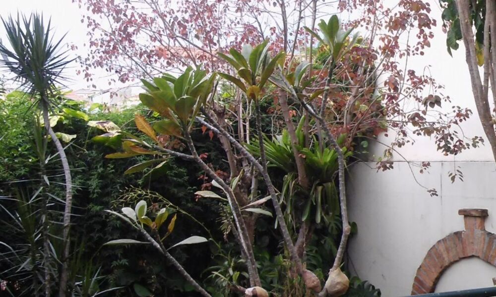 Casa, 2 quartos, 360 m² - Foto 5