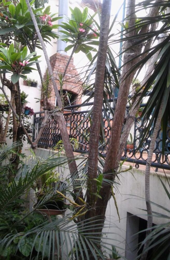 Casa, 2 quartos, 360 m² - Foto 17