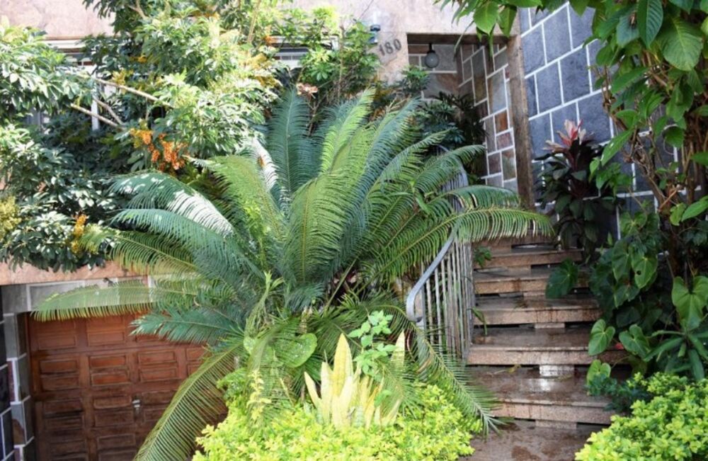 Casa, 3 quartos, 330 m² - Foto 9