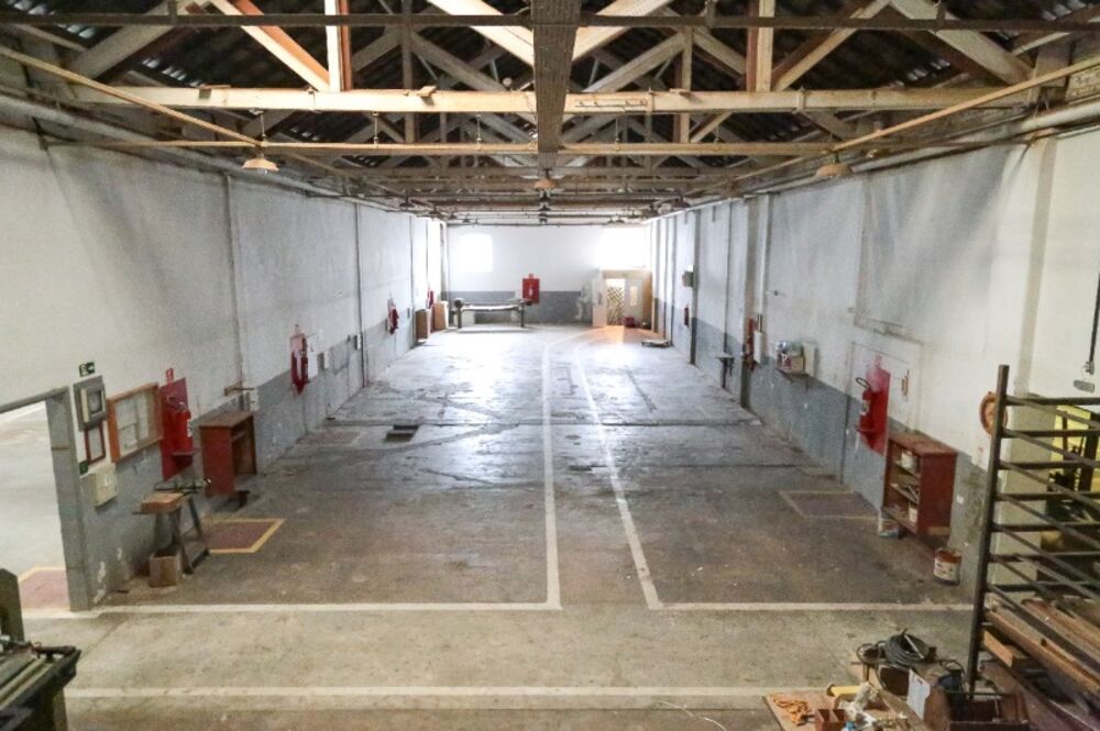Depósito-Galpão, 2000 m² - Foto 12