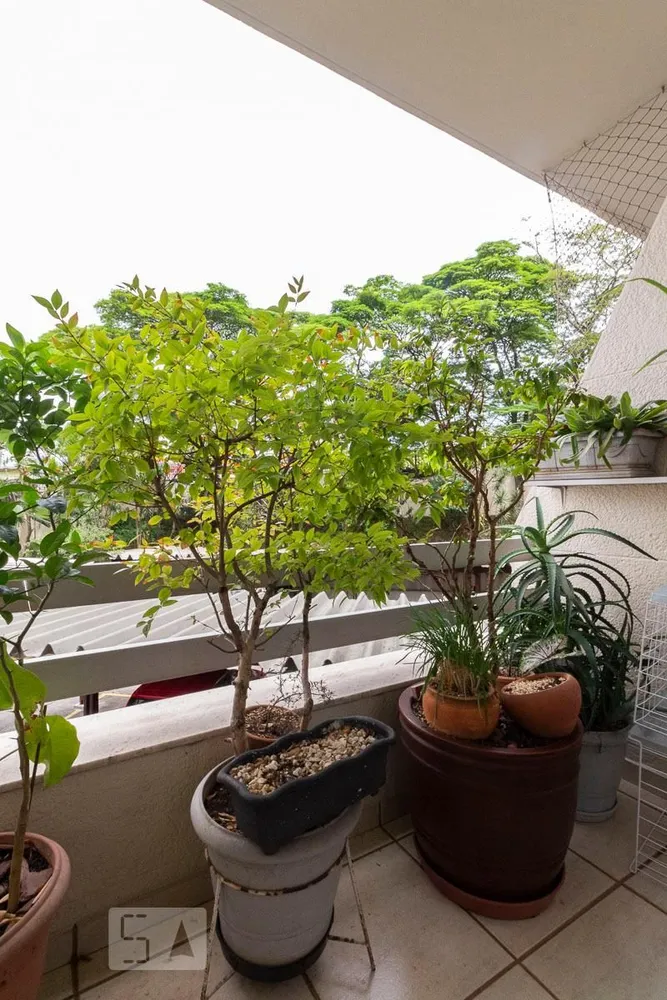 Apartamento, 3 quartos, 80 m² - Foto 7