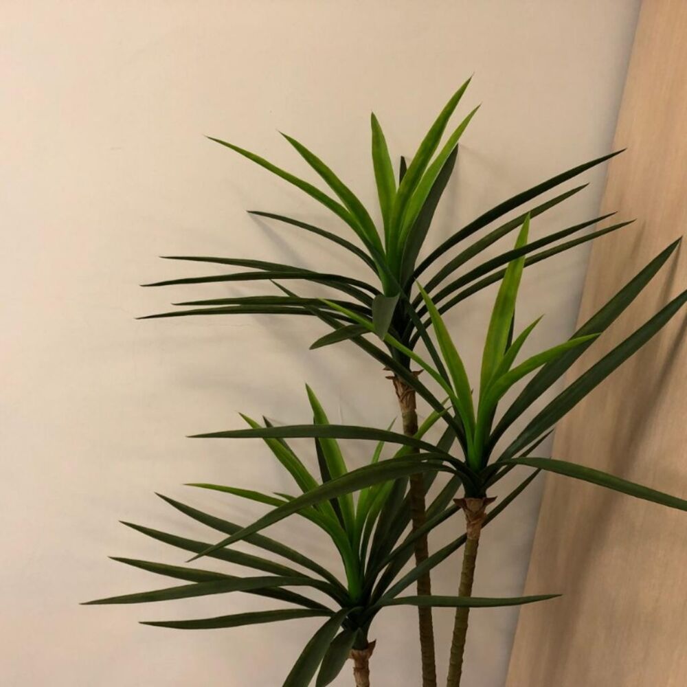 Sala-Conjunto, 260 m² - Foto 2