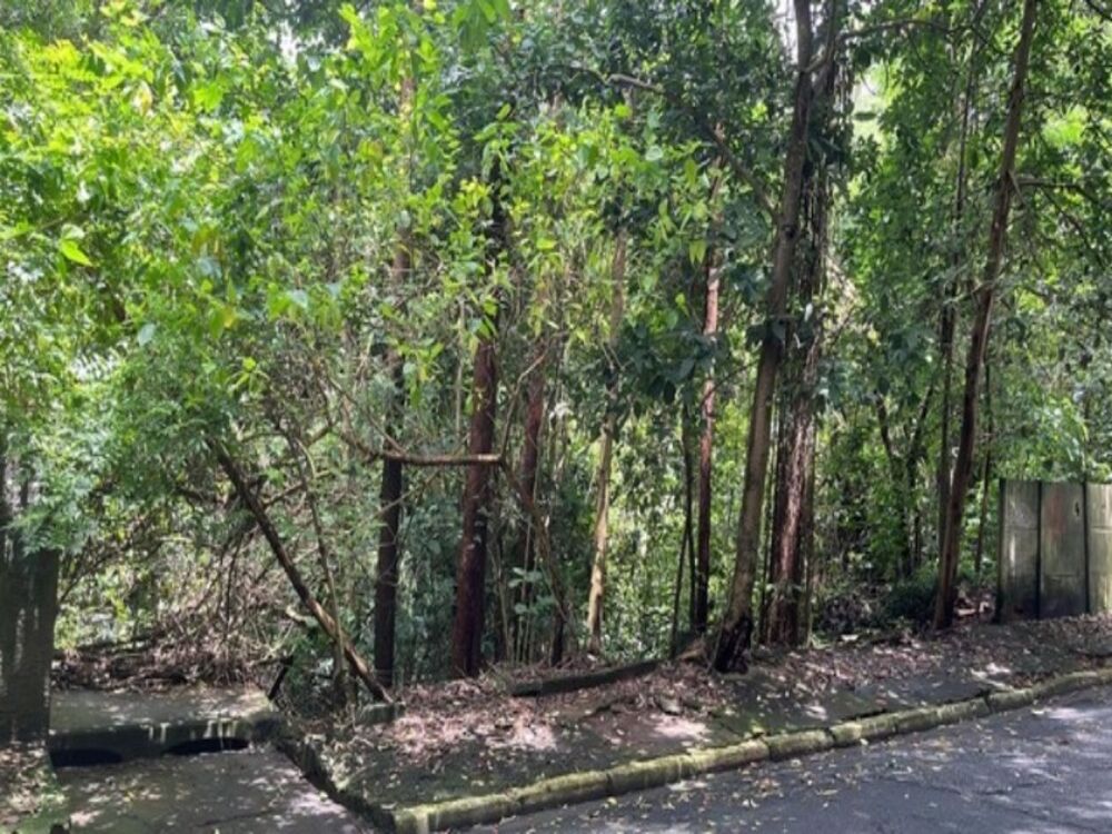 Terreno, 960 m² - Foto 2