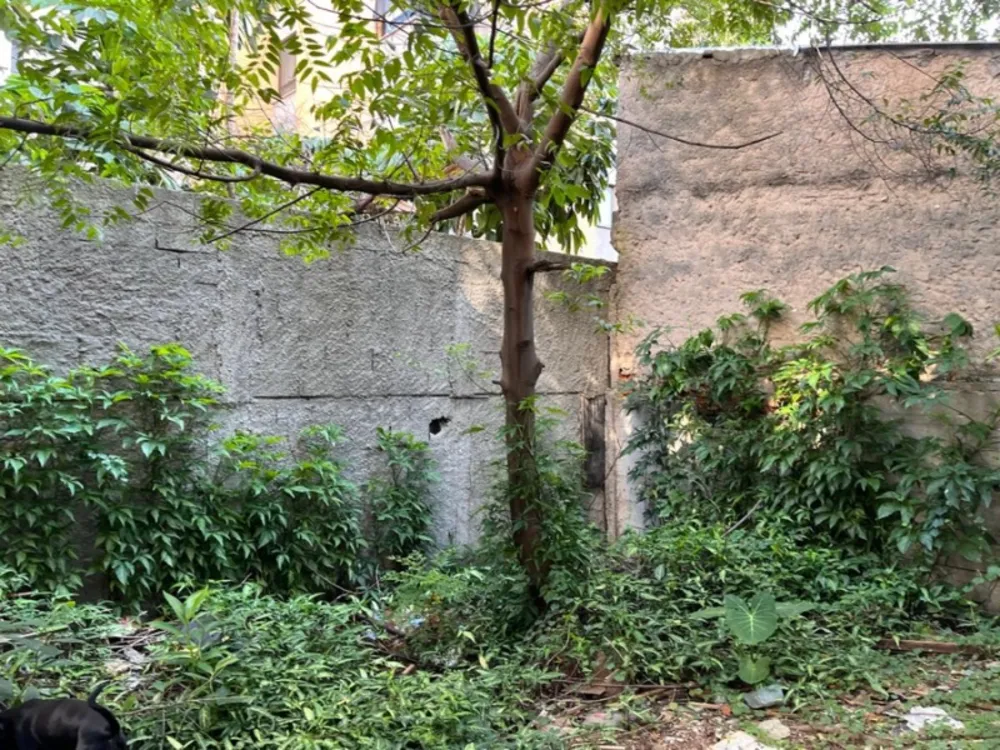 Terreno, 500 m² - Foto 5