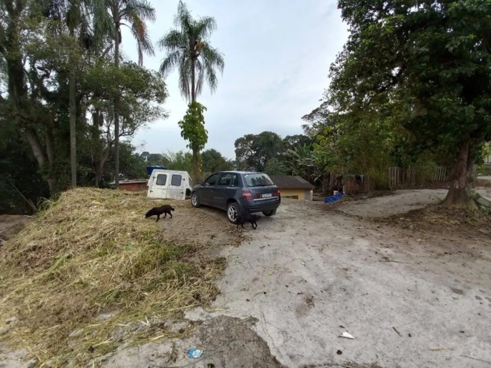 Terreno, 1 hectares - Foto 4
