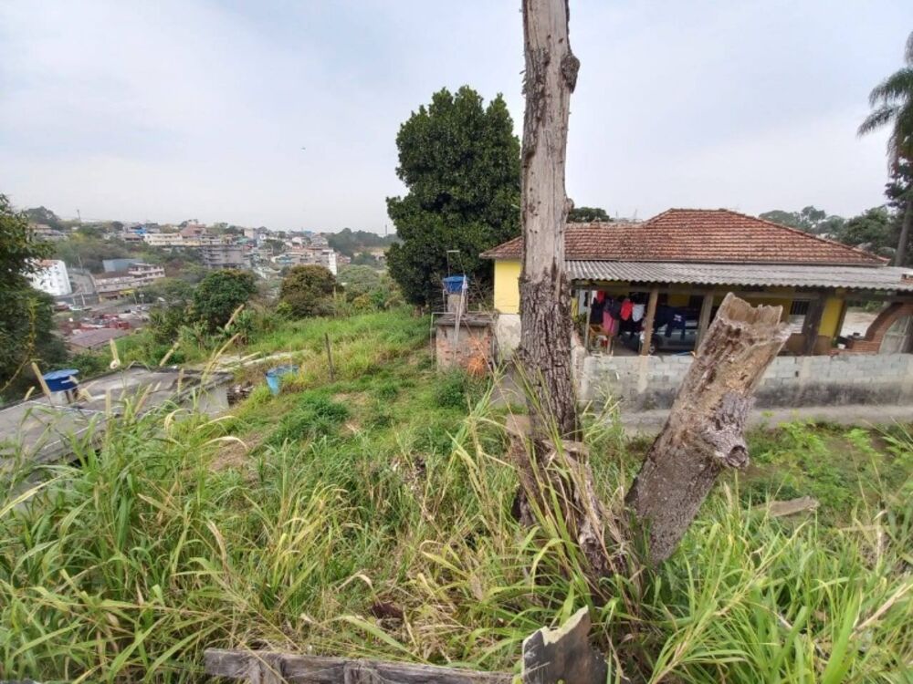 Terreno, 1 hectares - Foto 4