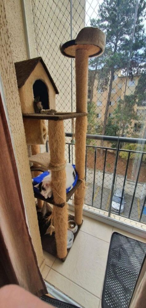 Apartamento, 2 quartos, 47 m² - Foto 7