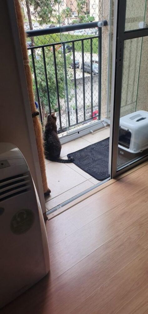 Apartamento, 2 quartos, 47 m² - Foto 6