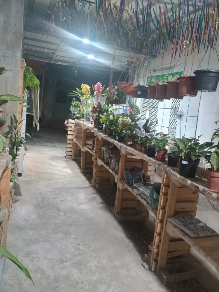 Prédio Inteiro, 120 m² - Foto 7