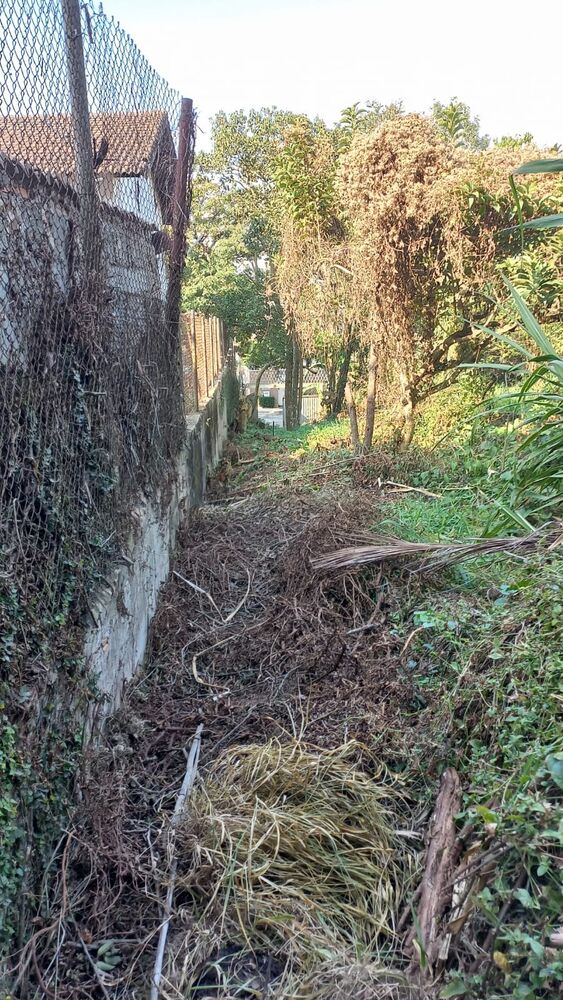 Terreno, 1444 m² - Foto 10