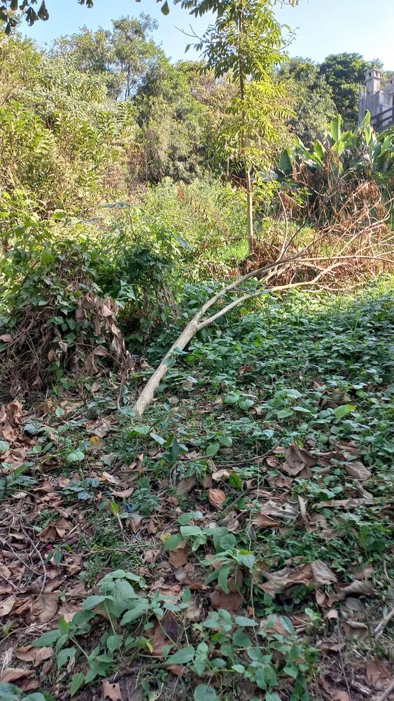 Terreno, 1444 m² - Foto 19