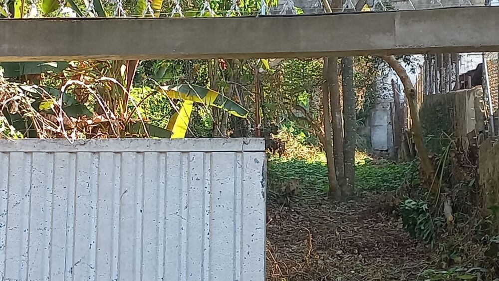 Terreno, 1444 m² - Foto 1