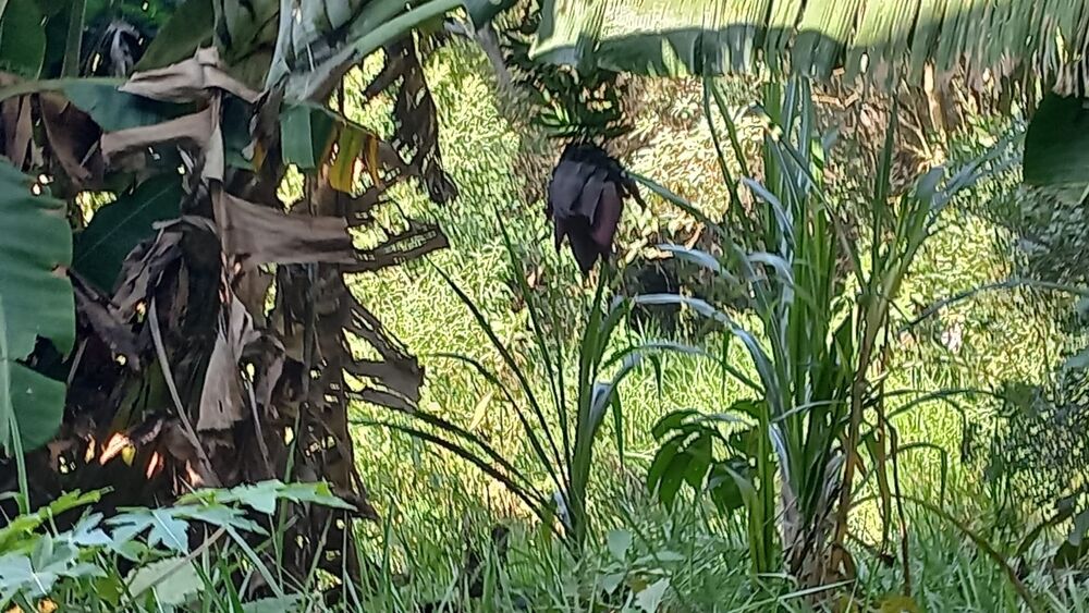 Terreno, 1444 m² - Foto 18