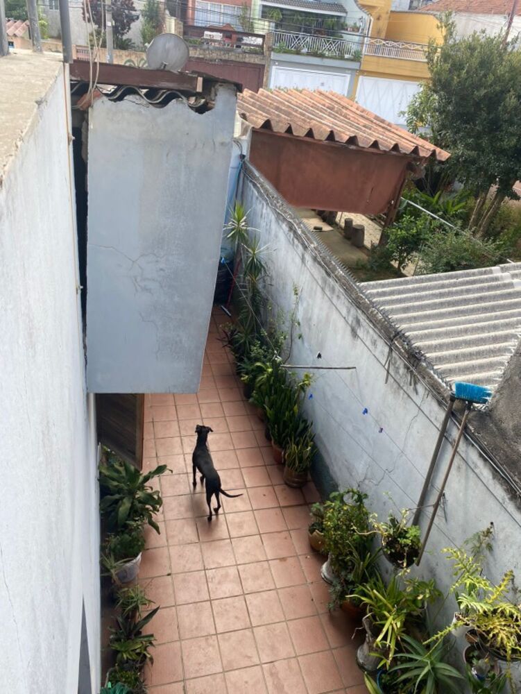 Casa, 6 quartos, 259 m² - Foto 6