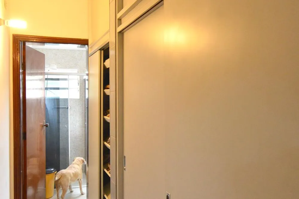 Casa, 3 quartos, 200 m² - Foto 8