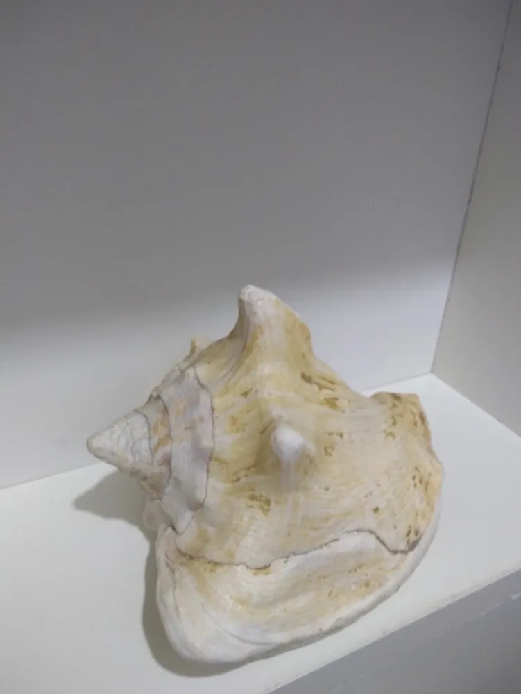 Prédio Inteiro, 320 m² - Foto 10