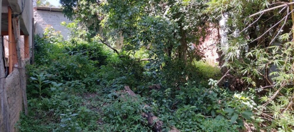 Terreno, 500 m² - Foto 4