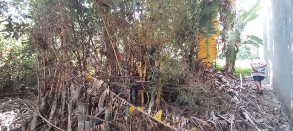 Terreno, 500 m² - Foto 3