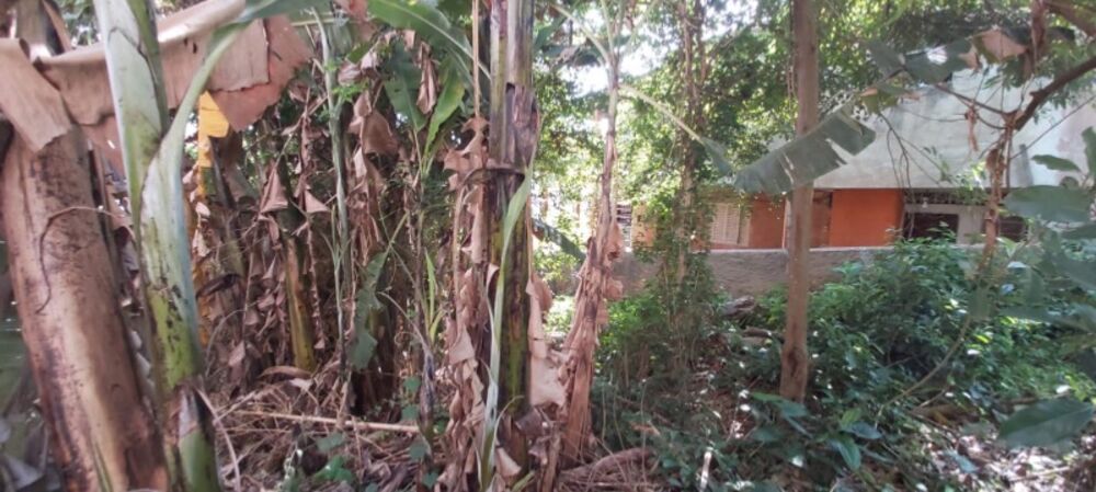 Terreno, 500 m² - Foto 2