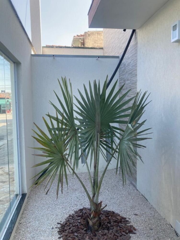 Apartamento, 1 quarto, 32 m² - Foto 1